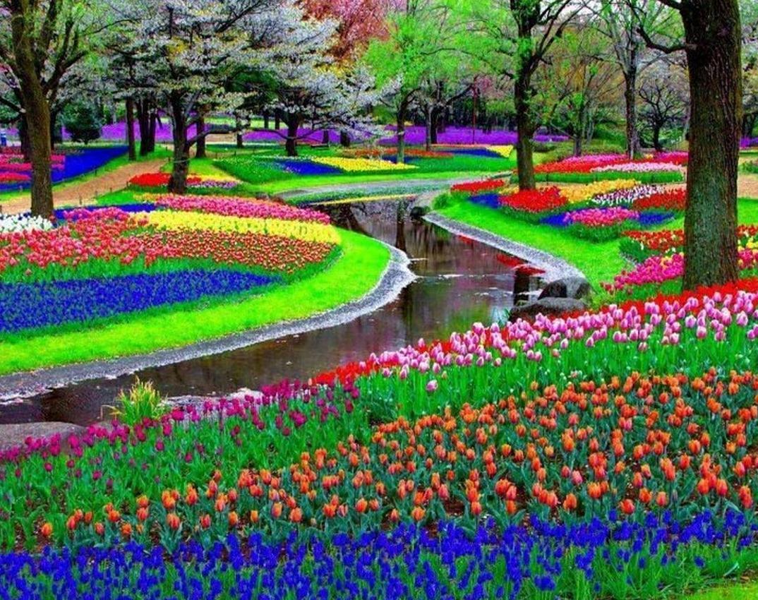 Всемирно известный парк цветов Кекенхоф - одно из красивейших мест.