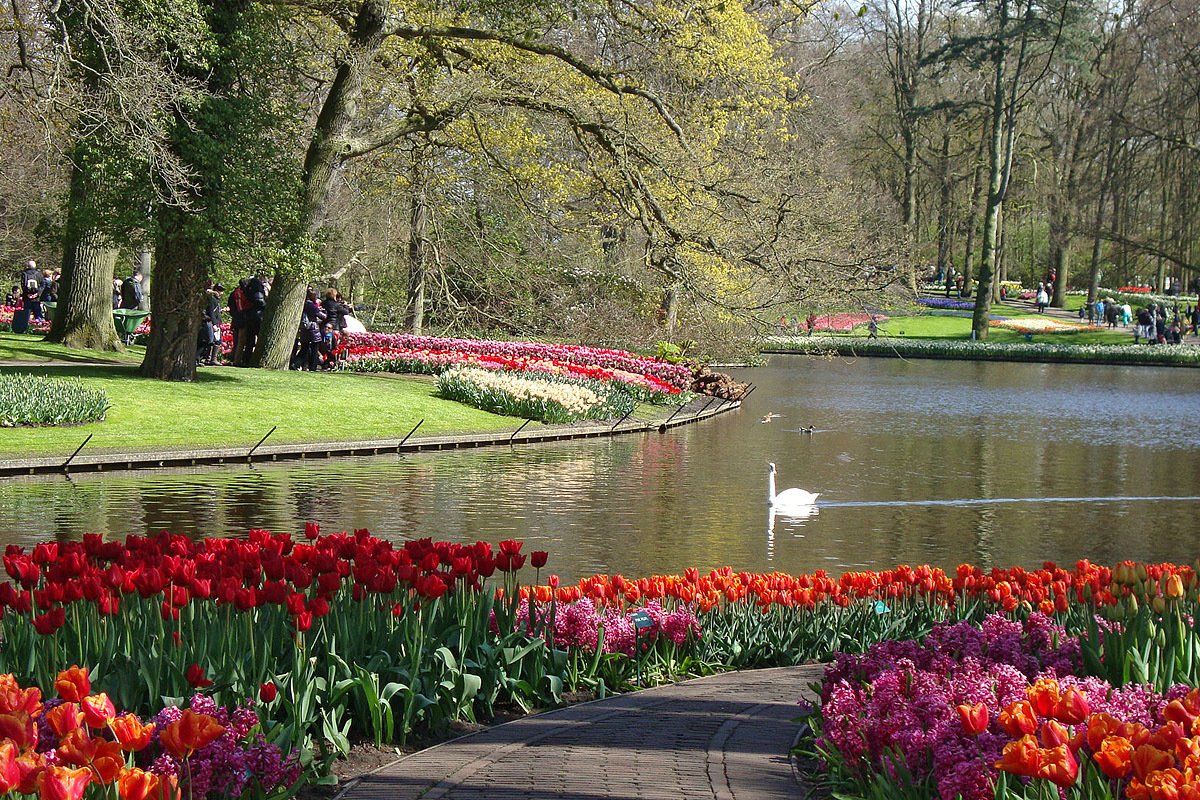 Кёкенхоф всемирно известный Королевский парк цветов в Нидерландах.