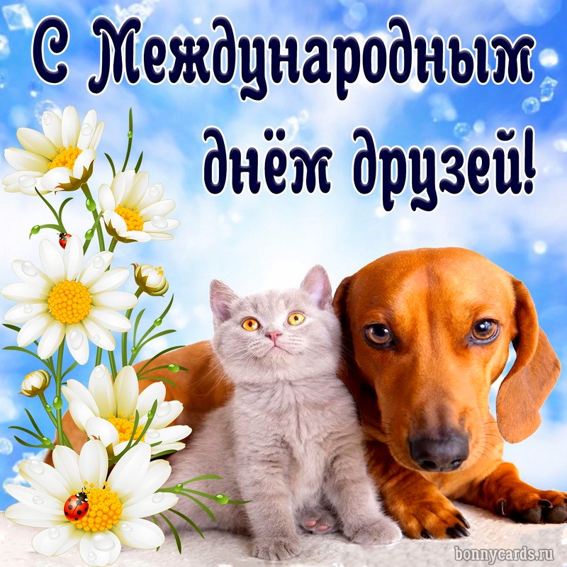 Милая открытка с собачкой и котиком на День друзей.