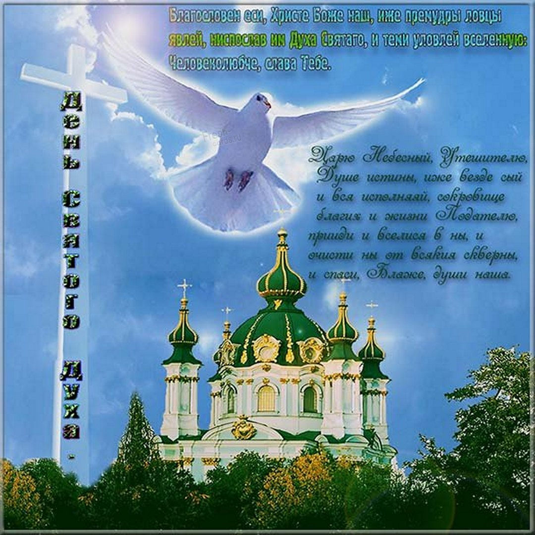 Фон поздравление православное голуби держат поздравления.