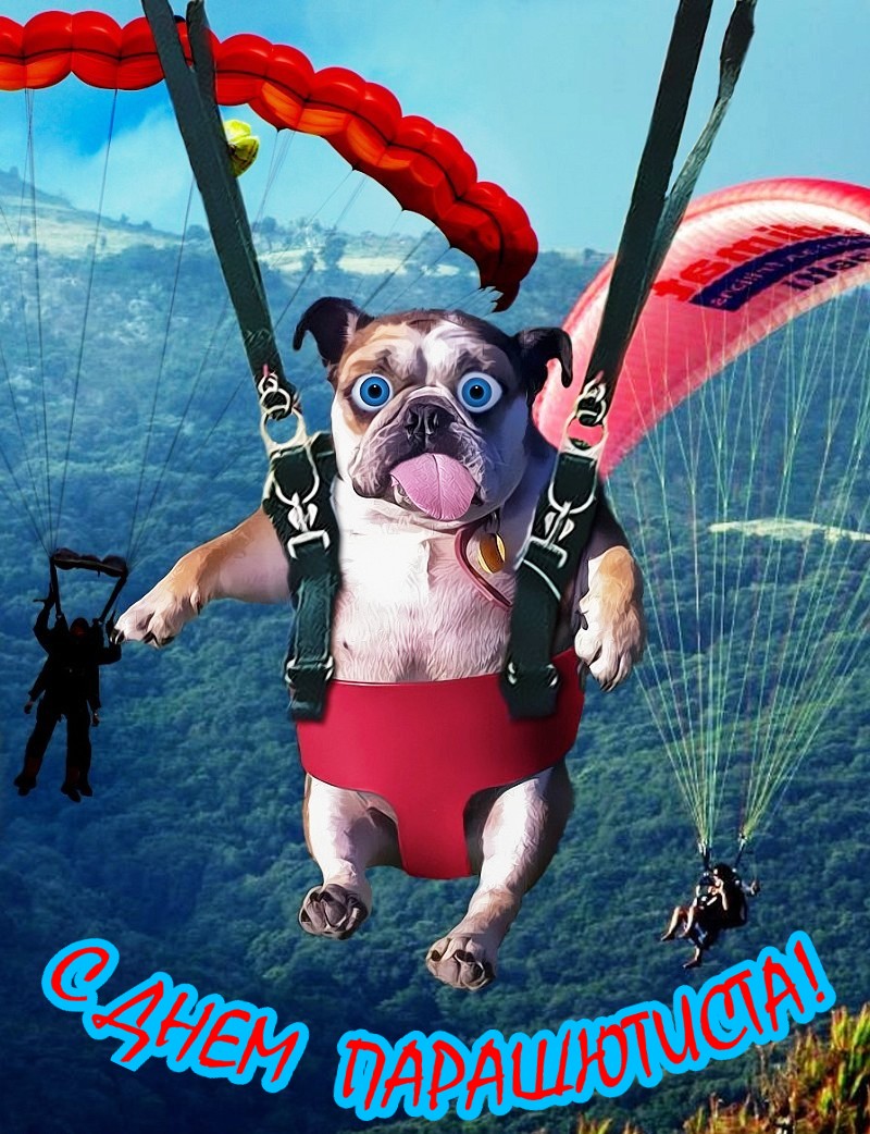 С праздником парашютиста, смешная картинка с собакой!