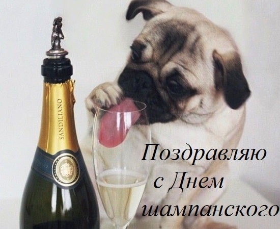 С днем рождения шампанского! 4 августа - Международный день Шампанского.