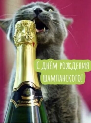 Интересные картинки День рождения шампанского.