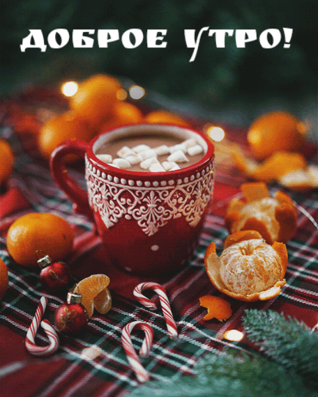 Красивая зимняя gif картинка доброе утро с кофе и мандаринами!