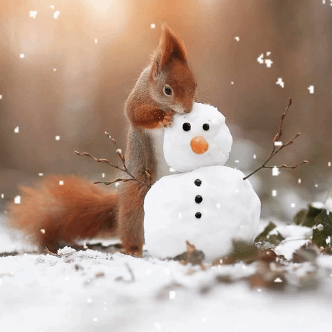 Красивая гифка доброго зимнего утра с белкой и снеговичком!