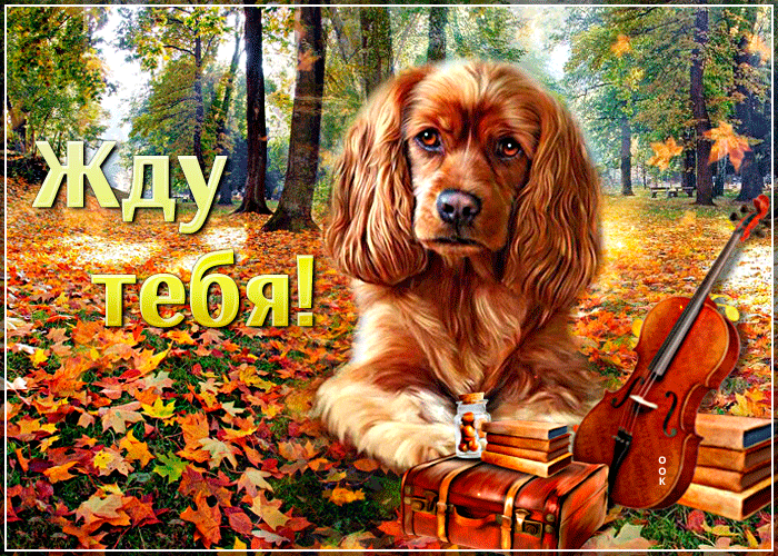 Осенняя gif анимация Жду тебя с собакой на фоне падающих листьев!