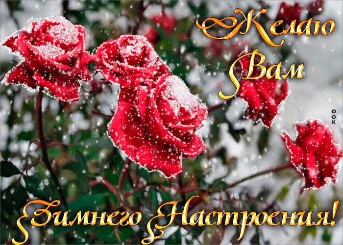 Анимация желаю вам зимнего настроения с розами в снегу!