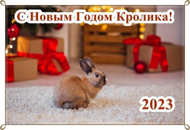 Новогодние открытки с Кроликами и Котами 2023.
