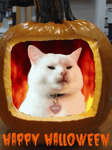 Смешная гифка на Хэллоуин, кот внутри горящей тыквы!