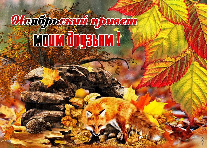 Красивая Осенняя гифка Ноябрьский привет моим друзьям!