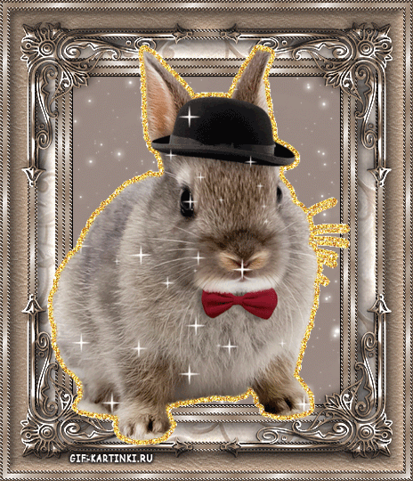 Гифки и анимации С Новым годом кролика 2023. Анимированный кролик, Двигающийся кролик, Заяц гиф.
