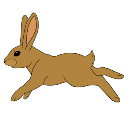 Скачать гифку кролик, лапин, - анимированный gif Скачай gif анимацию лапин. Кролик анимация, Анимационный заяц.
