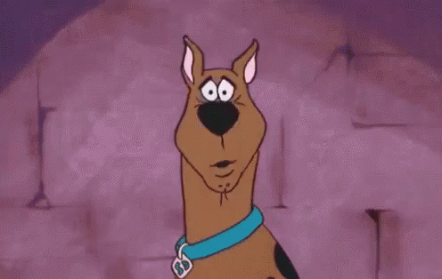 Où GIF - Scooby Doo Confused Huh - Discover & Share GIFs.