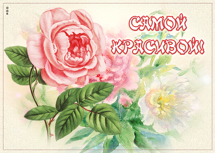 Нежная открытка с розочкой Самой красивой