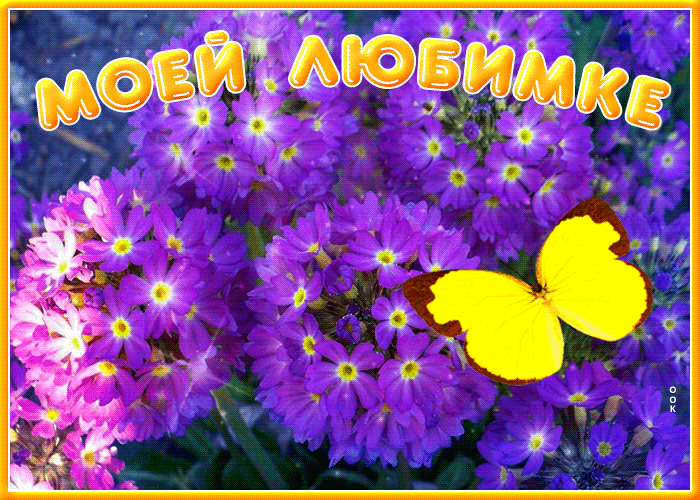Сверкающая открытка Моей любимке с цветами