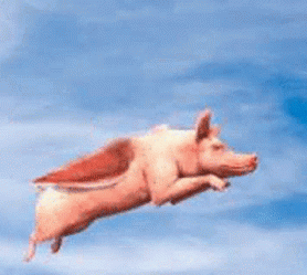Гифка Летит на полной скорости крылатая свинья.