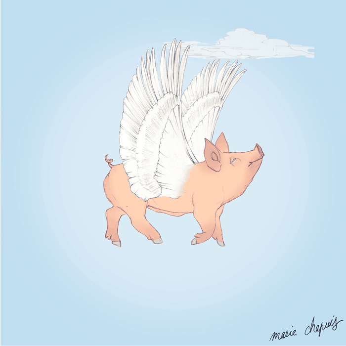 Смешная гифка Счастливая милая свинья с ангельскими крыльями.