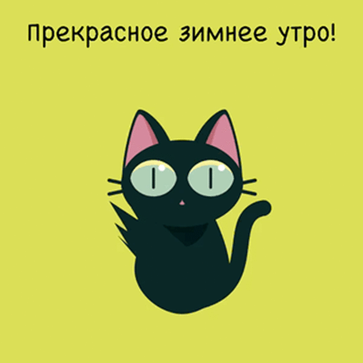 Мультяшный кот. Гифка с котом. Черный кот мультяшный. Котик gif.