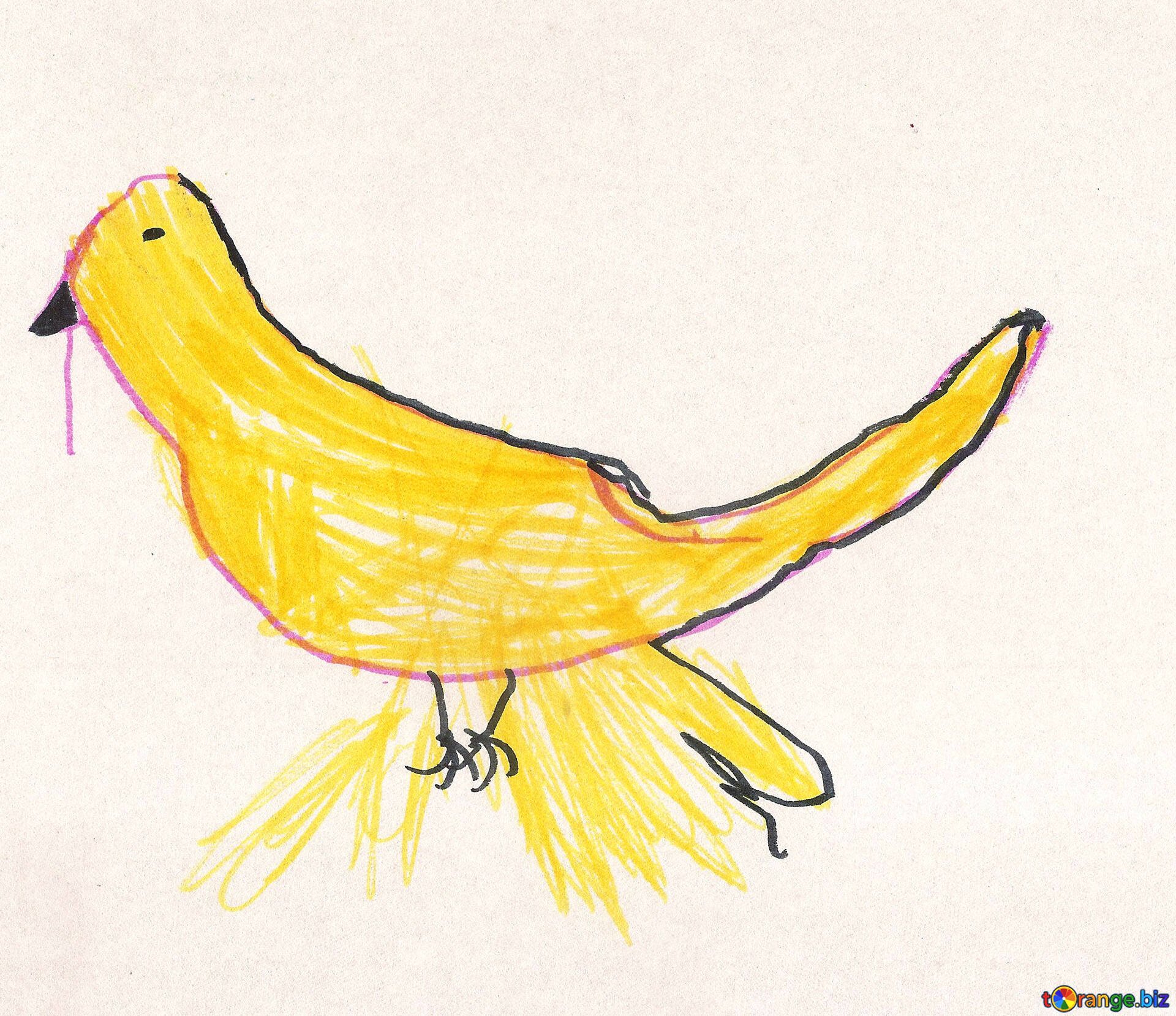Детский рисунок птицы