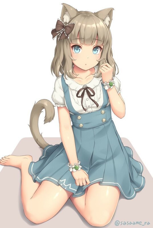 26 26