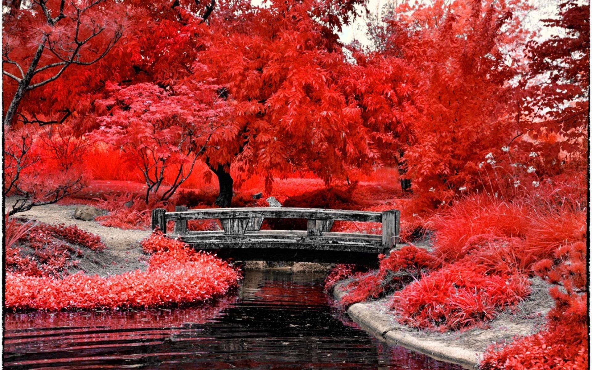 Пейзаж в Красном цвете