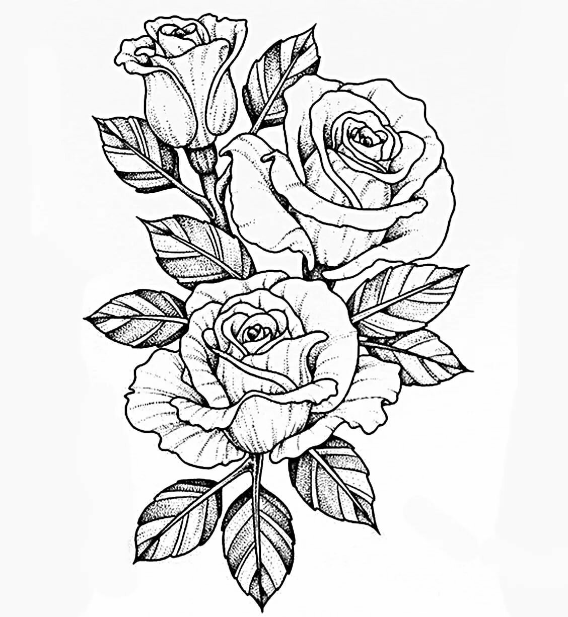 Роза на столе рисунок карандашом