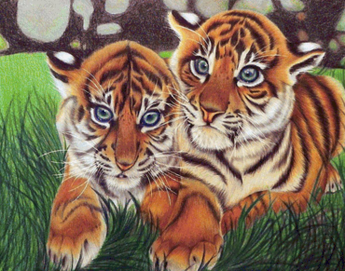 Тигр цветными карандашами