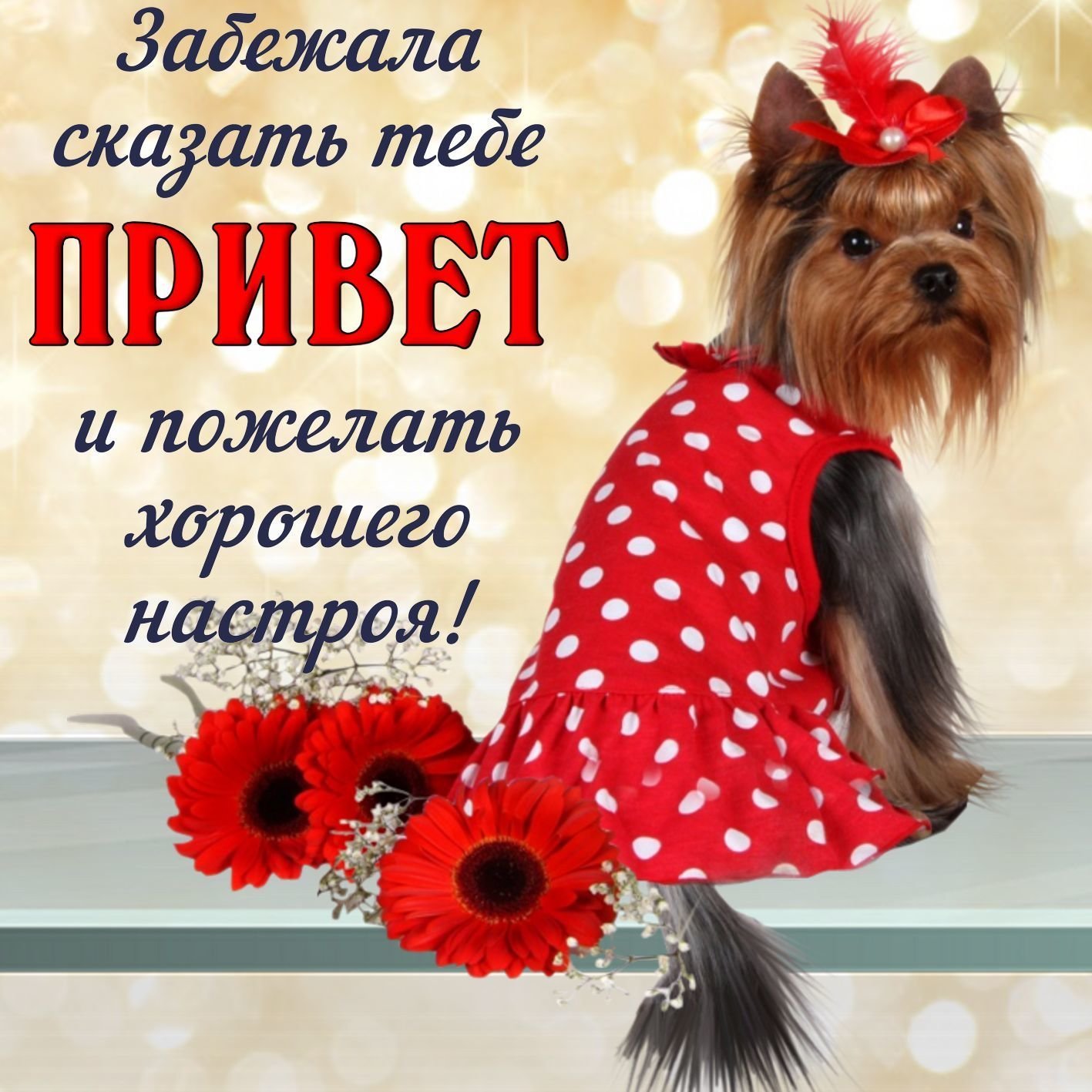 Привет открытки (30 фото) скачать бесплатно