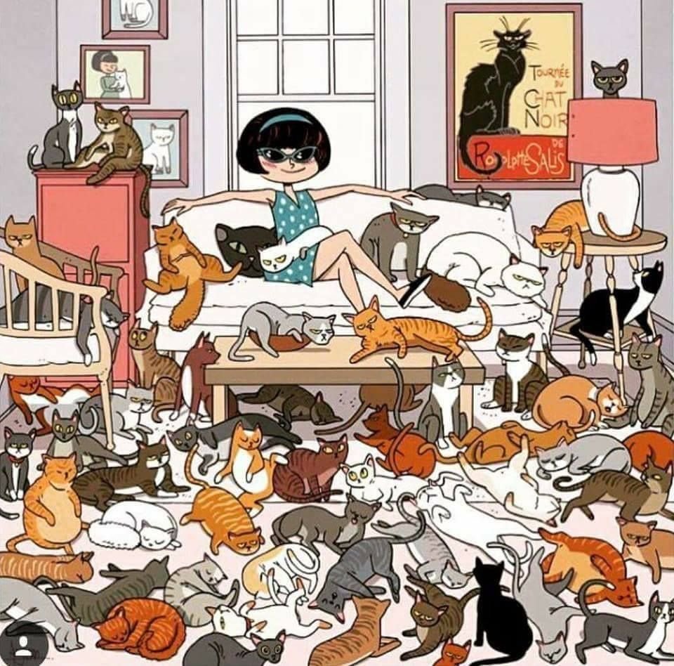 Девушка и много котов