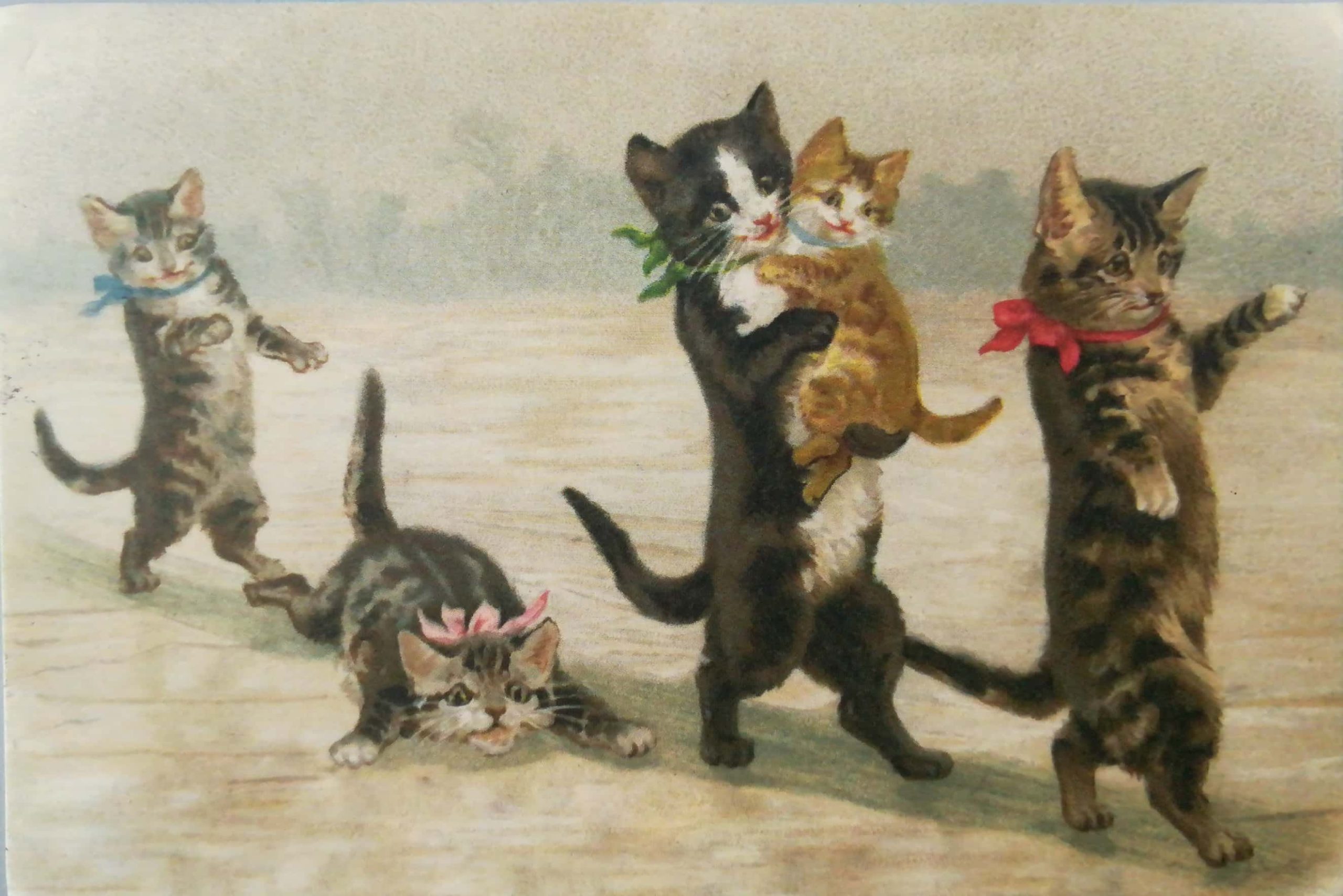 Картина кошка праздник день кошек