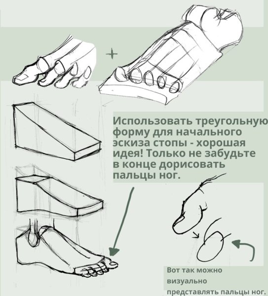 Как нарисовать стопу (69 фото) скачать бесплатно