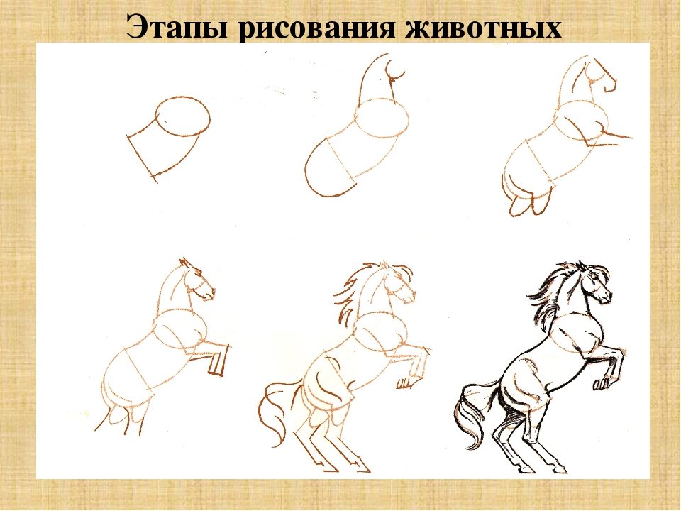 Анималистический Жанр рисунки детей