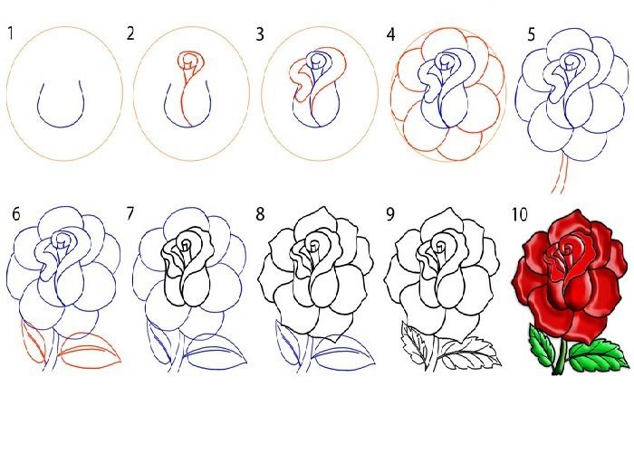 Пошаговые рисунки цветов