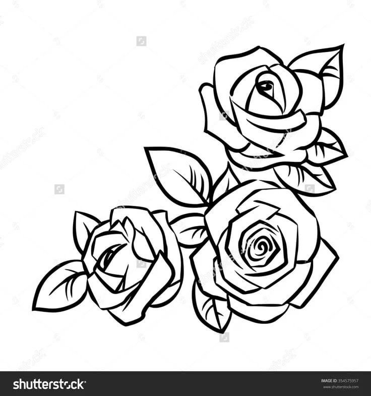 Цветы контур эскиз розы