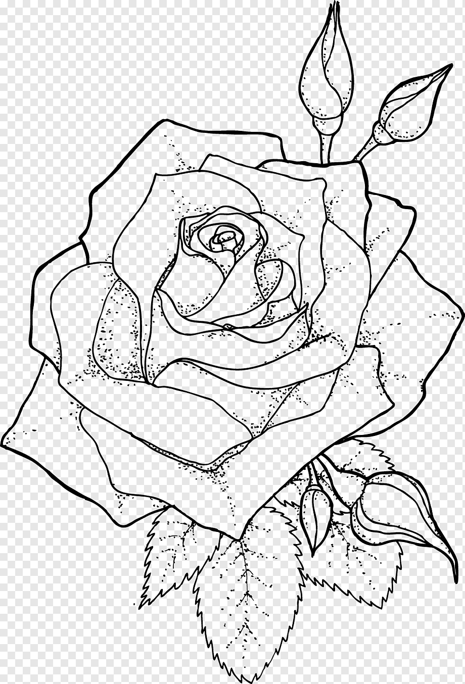 Контурная роза