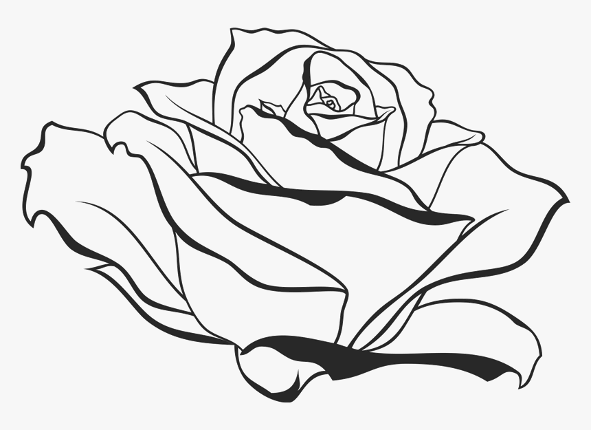 Роза линейный рисунок