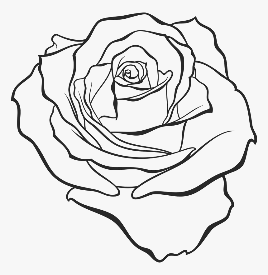 Контурное изображение розы