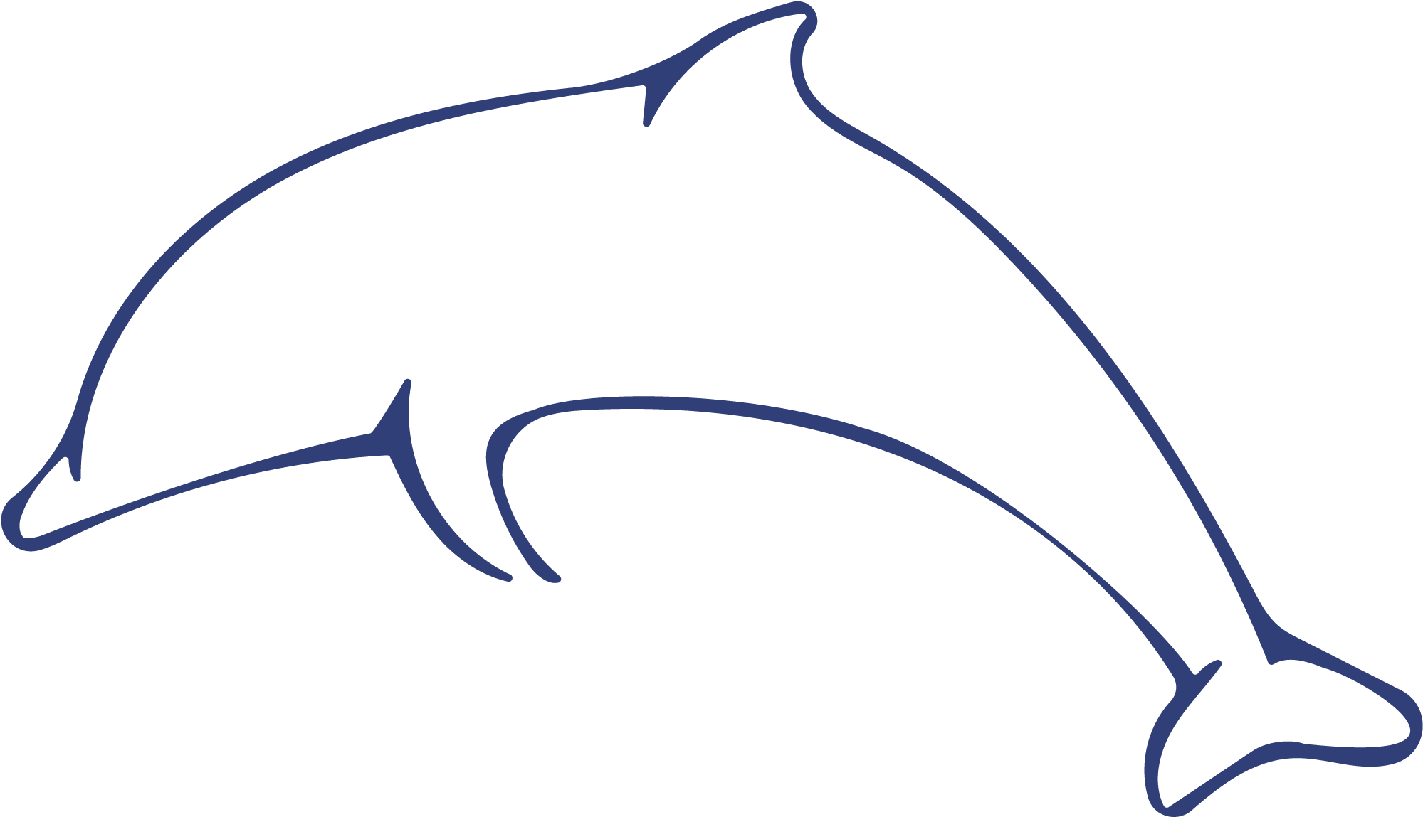 Дельфин очертания