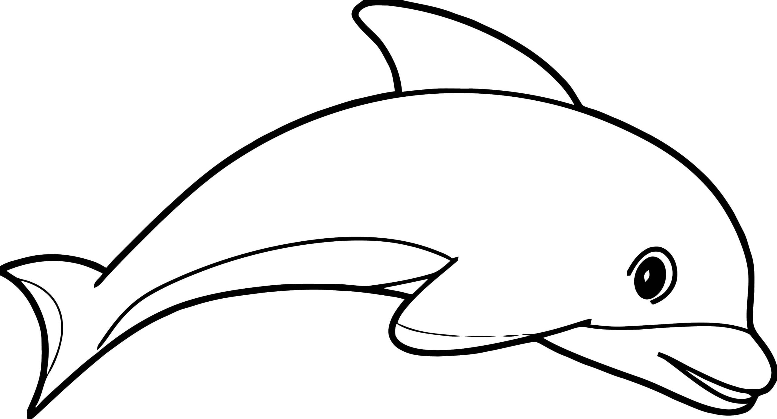 Дельфин раскраска для малышей
