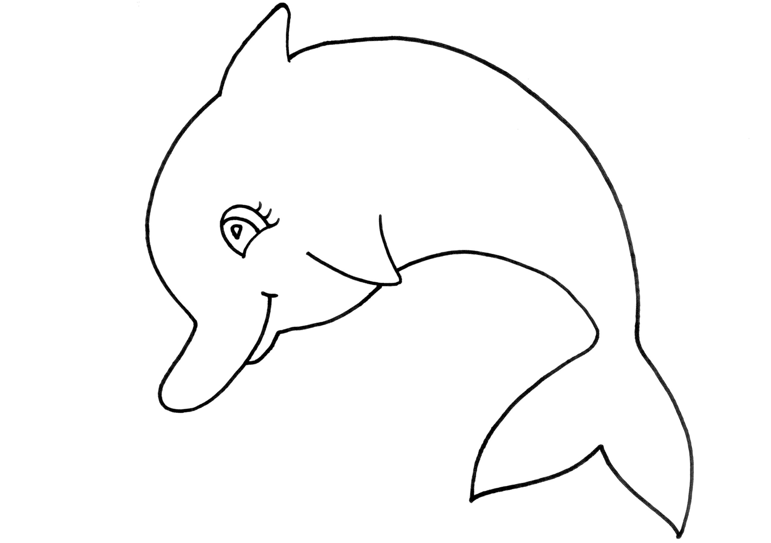 Шаблон дельфина