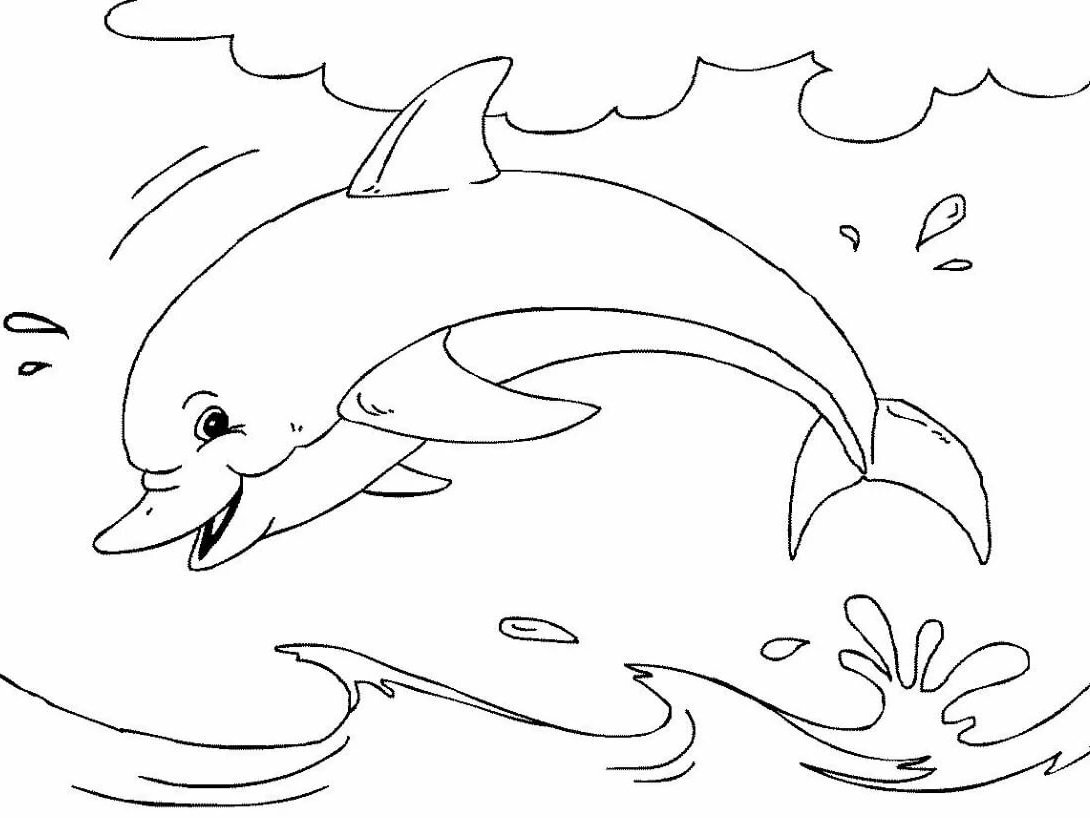 Дельфин в профиль