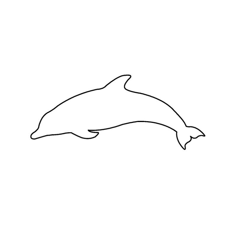 Раскраски для девочек дельфины