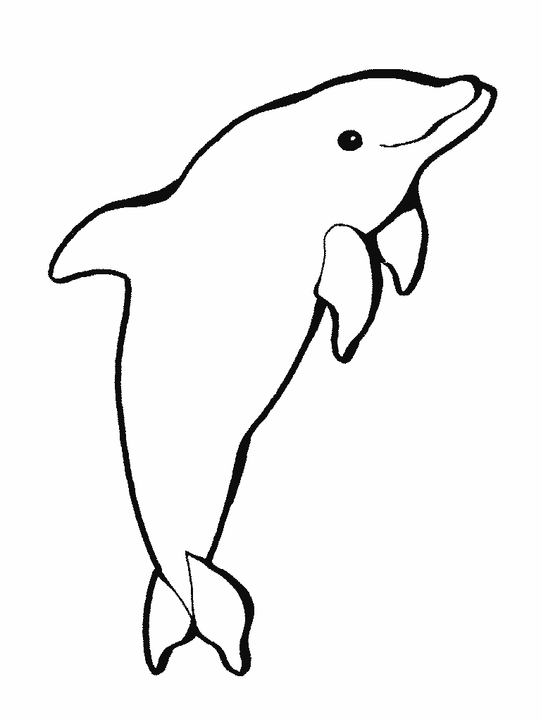 Дельфин набросок