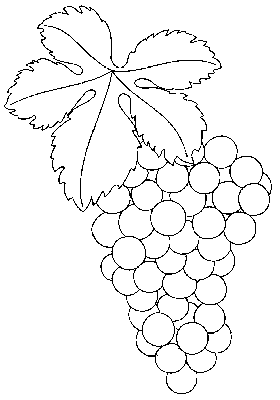 Трафарет виноград