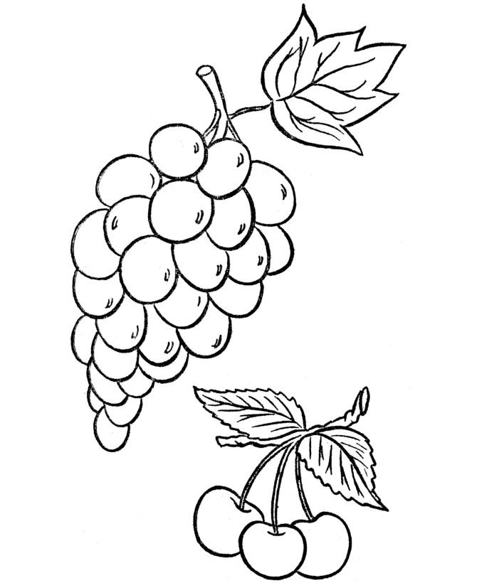 Раскраска гроздь винограда для детей