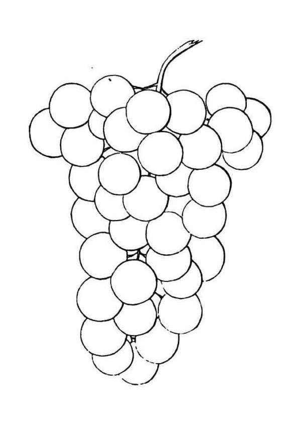 Стилизованный виноград