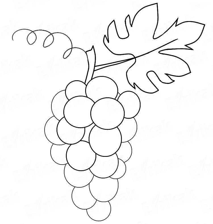Виноград раскраска