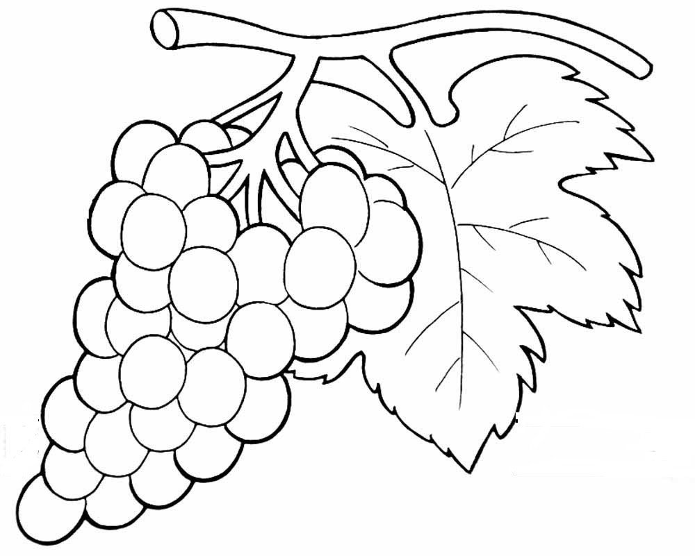 Контур винограда для детей