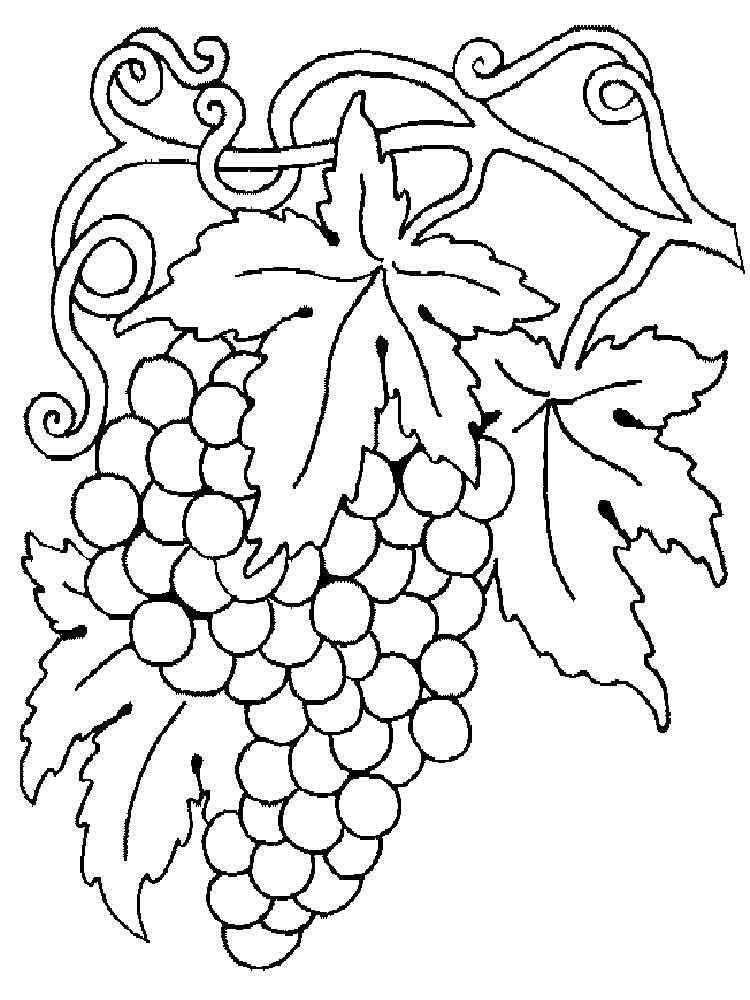 Гроздь винограда контур