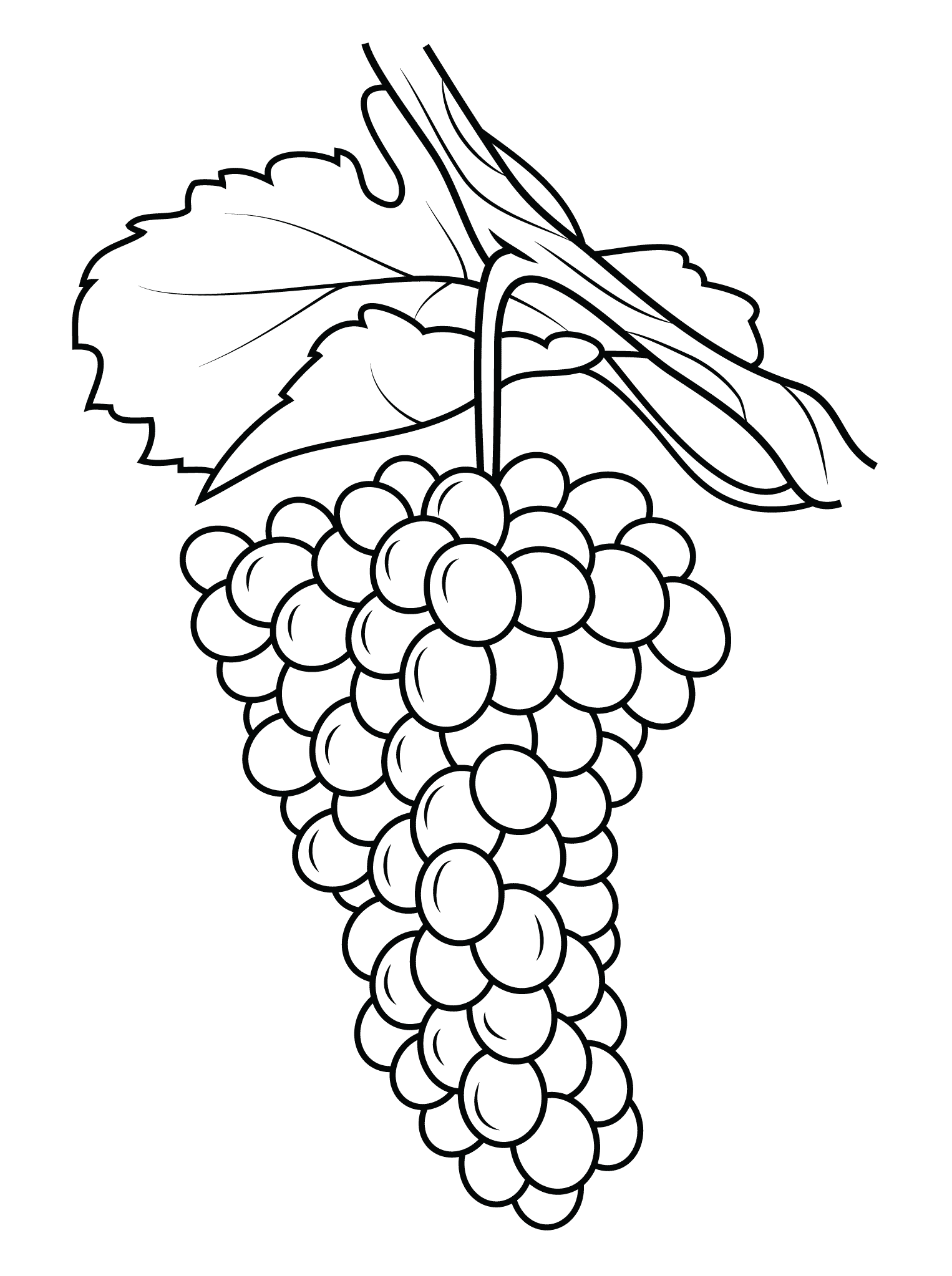 Виноградник раскраска